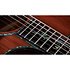 PS14ce Honduran Rosewood/Sinker Redwood Next Generation + Etui Taylor