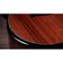 PS14ce Honduran Rosewood/Sinker Redwood Next Generation + Etui Taylor