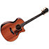 PS14ce Honduran Rosewood/Sinker Redwood Next Generation + Etui Taylor