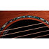PS14ce Honduran Rosewood/Sinker Redwood Next Generation + Etui Taylor