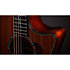 PS14ce Honduran Rosewood/Sinker Redwood Next Generation + Etui Taylor