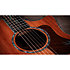 PS14ce Honduran Rosewood/Sinker Redwood Next Generation + Etui Taylor