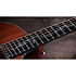 PS14ce Honduran Rosewood/Sinker Redwood Next Generation + Etui Taylor