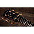 PS14ce Honduran Rosewood/Sinker Redwood Next Generation + Etui Taylor