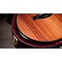 PS14ce Honduran Rosewood/Sinker Redwood Next Generation + Etui Taylor
