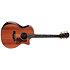 PS14ce Honduran Rosewood/Sinker Redwood Next Generation + Etui Taylor