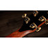 PS14ce Honduran Rosewood/Sinker Redwood Next Generation + Etui Taylor