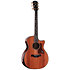 PS14ce Honduran Rosewood/Sinker Redwood Next Generation + Etui Taylor