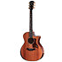 PS14ce Honduran Rosewood/Sinker Redwood Next Generation + Etui Taylor