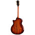 PS14ce Honduran Rosewood/Sinker Redwood Next Generation + Etui Taylor