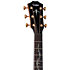 PS14ce Honduran Rosewood/Sinker Redwood Next Generation + Etui Taylor