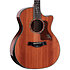 PS14ce Honduran Rosewood/Sinker Redwood Next Generation + Etui Taylor