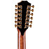 PS54ce Honduran Rosewood/Adirondack SpruceSpruce Next Generation + Etui Taylor