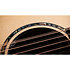 PS54ce Honduran Rosewood/Adirondack SpruceSpruce Next Generation + Etui Taylor