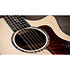 PS54ce Honduran Rosewood/Adirondack SpruceSpruce Next Generation + Etui Taylor