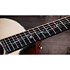PS54ce Honduran Rosewood/Adirondack SpruceSpruce Next Generation + Etui Taylor