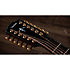 PS54ce Honduran Rosewood/Adirondack SpruceSpruce Next Generation + Etui Taylor