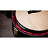 PS54ce Honduran Rosewood/Adirondack SpruceSpruce Next Generation + Etui Taylor