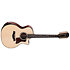 PS54ce Honduran Rosewood/Adirondack SpruceSpruce Next Generation + Etui Taylor