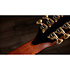 PS54ce Honduran Rosewood/Adirondack SpruceSpruce Next Generation + Etui Taylor