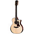 PS54ce Honduran Rosewood/Adirondack SpruceSpruce Next Generation + Etui Taylor