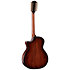 PS54ce Honduran Rosewood/Adirondack SpruceSpruce Next Generation + Etui Taylor