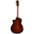PS54ce Honduran Rosewood/Adirondack SpruceSpruce Next Generation + Etui Taylor