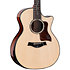 PS54ce Honduran Rosewood/Adirondack SpruceSpruce Next Generation + Etui Taylor
