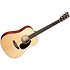 D Jr E + housse Martin Guitars