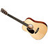 D Jr E LH + housse Martin Guitars