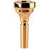 4880-9BS Classic trombone plaquée or 9BS Denis Wick
