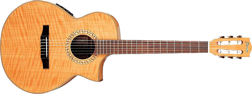 Ibanez EWN30SYE NT