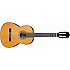 G850 NT Ibanez