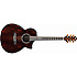 EW50CBE NT Ibanez