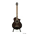 EWB20WNE NT Ibanez
