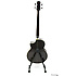 EWB20WNE NT Ibanez
