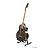 EWB20WNE NT Ibanez