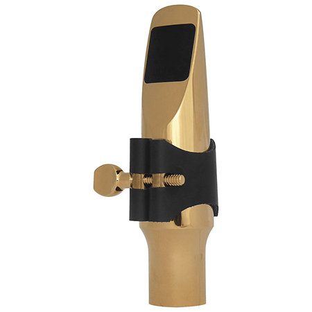 Brancher J21AG Bec métal Plaqué Or Saxo Alto