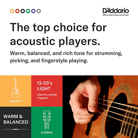 EJ17-B25 D'Addario