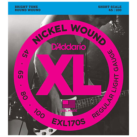 D'Addario EXL170S