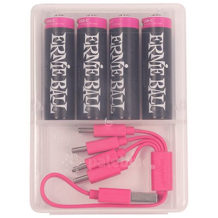 9643 Pile AA Rechargeable via USB-C Lithium-ion Lot de 4 Ernie Ball