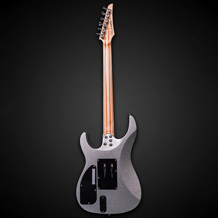 Yo Onityan Signature 6 Strings Silver Flake + Housse Legator