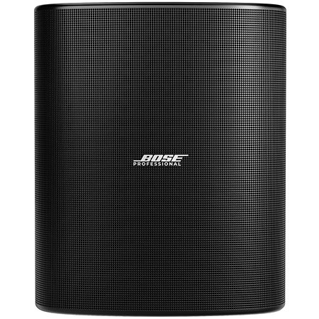 Bose Professional DesignMax DM12SE Black