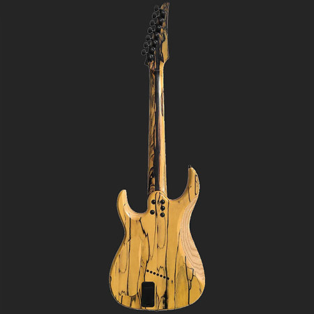 Palemoon Ebony Ninja X 7-string Natural + Housse Legator