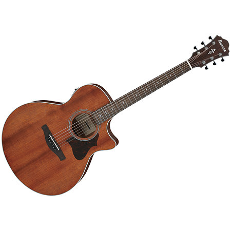 Ibanez AE140 Open Pore Natural