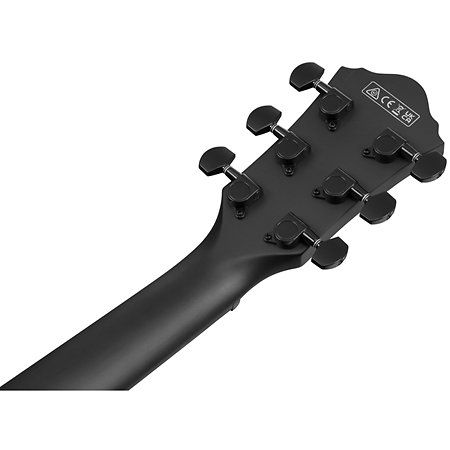 AEWC621L Black Out Gaucher Ibanez