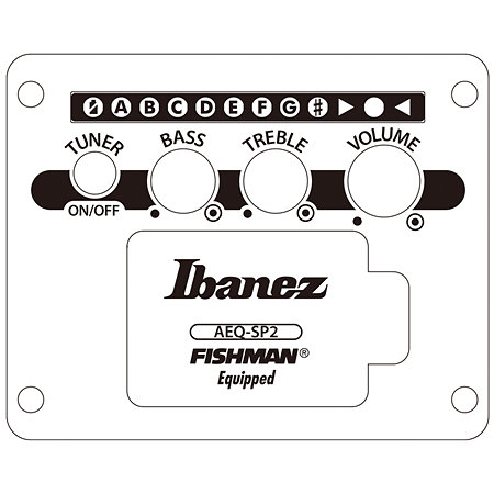 AEWC621L Black Out Gaucher Ibanez