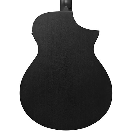AEWC621L Black Out Gaucher Ibanez
