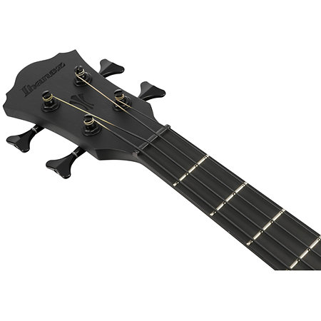AEGB420 Black Out Ibanez