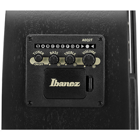 AEGB420 Black Out Ibanez